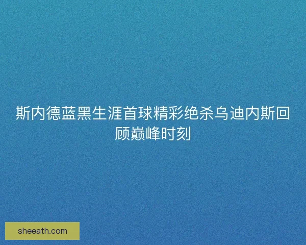 斯内德蓝黑生涯首球精彩绝杀乌迪内斯回顾巅峰时刻