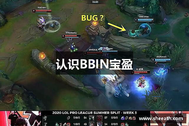 认识BBIN宝盈